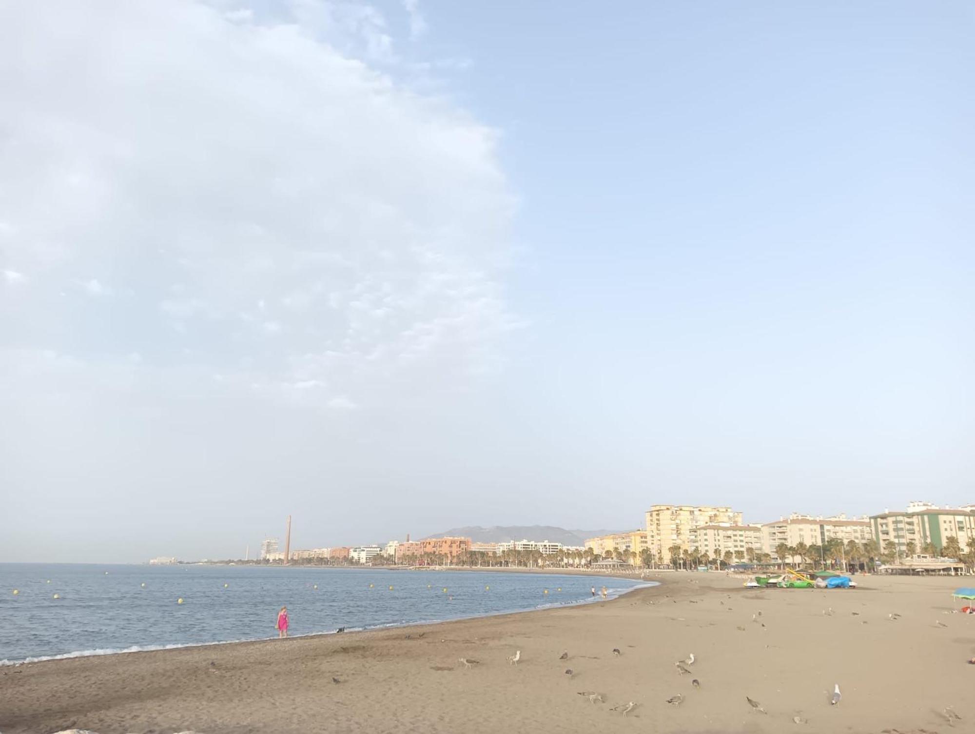 Apartment Holidays2malaga Montesa 700m From The Rooftop Terrace *